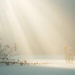soft, contemplative spiritual scene